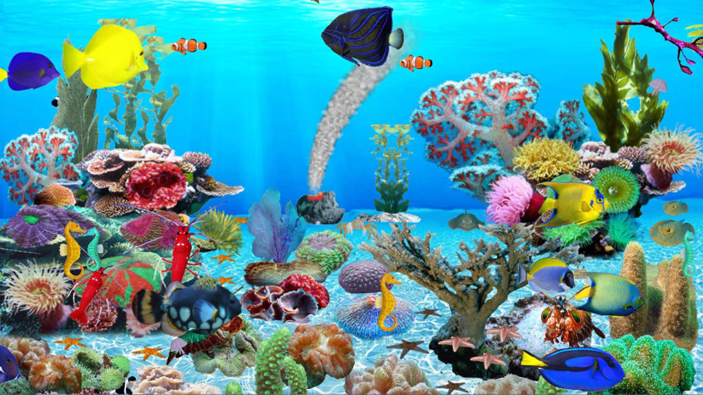 dream aquarium 1.2591